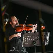 Insegnante di strumento ad arco viola